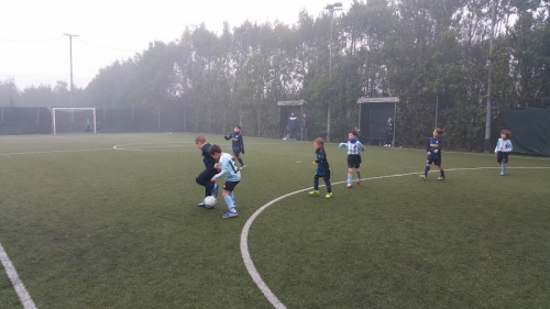 Foto Sport Village â€¢ Calcio a 5, padel, touch tennis & pickleball